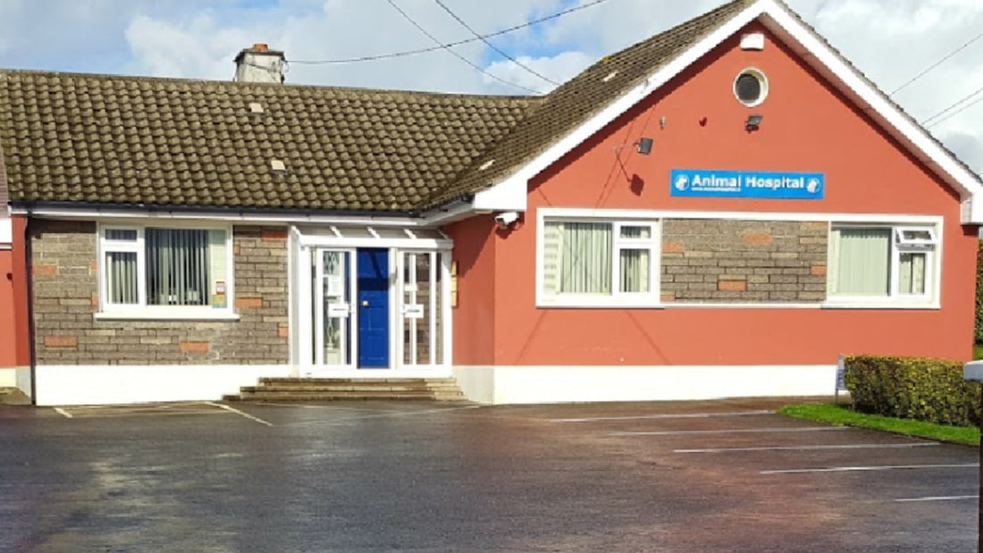 the-animal-hospital-veterinary-clinic-tallaght